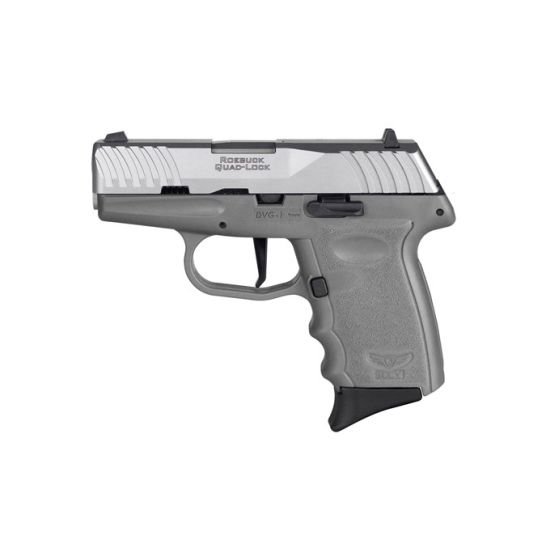 SCCY DVG1 9mm Pistol 3.1" 10rd, Gray - DVG-1-TTSG
