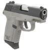 SCCY CPX-2 Gen 3 9mm 3.1" 10rd, Black/Grey - CPX-2CBSGG3