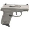 SCCY CPX-2 Gen 3 9mm 3.1" 10rd, Silver/Grey - CPX-2TTSGG3
