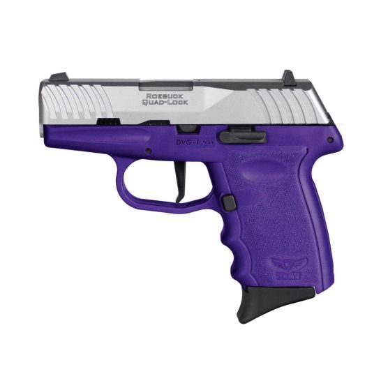 SCCY DVG1 9mm Pistol 3.1" 10rd, SS/Purple - DVG-1-TTPU